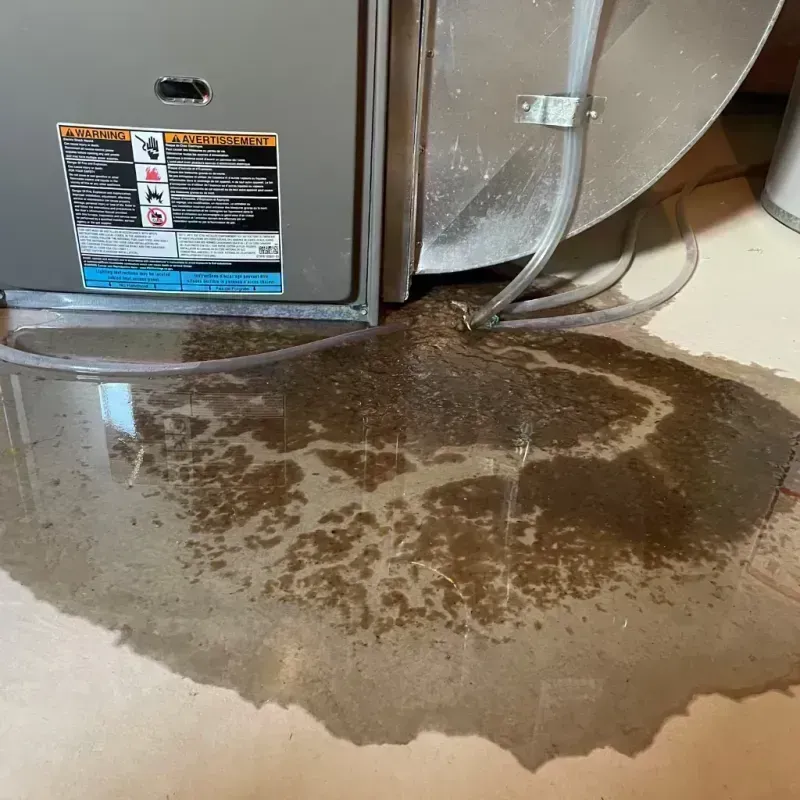 Appliance Leak Cleanup in Streator, IL